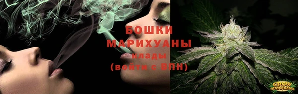 гашик Верея