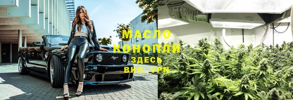 гашик Верея