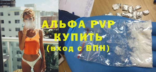 гашик Верея