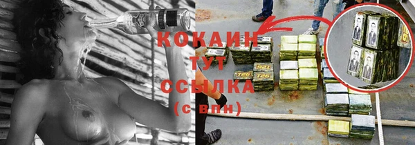 гашик Верея